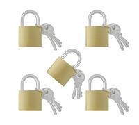 TTQiAnJ 5 Pièces Cadenas avec Clés, Cadenas Petits 32mm, Métalliques Mini Serrure à Bagage, Sacs de Voyage, Valise, Armoires, Casiers, Or