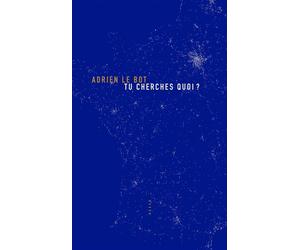 Tu cherches quoi ? - Adrien Le Bot - Allia - broché - Essai
