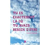 Tu es exactement là où tu avais besoin d'être - Laurent Lepinois - Du Pantheon Eds - broché - Roman