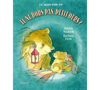 tu ne dors pas petit ours mini pop up