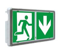 Tubconcept Evacuation Panneau d'évacuation Aluminium Rouge LED IP65/IP44 IK08 136 lm - Sortie, Montage mural, Industriel, Paysage, Avertissement, Sortie, One Size, 1 unité