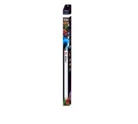 Tube Aquavie Lumivie SB T8 58w Blanc 150 cm