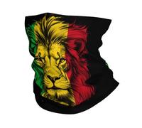 Tube Bandeaux Lion Drôle Drapeau du Mali Bande De Cheveux Respirant Décoration Faciale pour Yoga, Moto, Ski