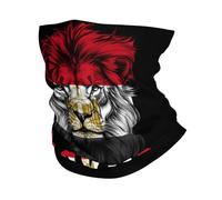 Tube Bandeaux Lion Drôle Drapeau Égyptien Bande De Cheveux Élastique Chapeaux Demi-Visage pour Yoga, Randonnée, Course À Pied