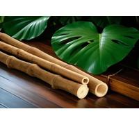 Tube de bambou 100 (Guadua, 3-4 cm)