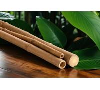 Tube de bambou 100 (Moso, 3-4 cm)