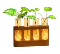 Tube De Propagation des - Terrarium avec Éclairage LED Réglable | Vase en Verre pour Culture,pour Salon Chambre et Salle de Bain Adolescents Adultes
