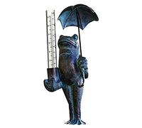 Tube de Remplacement en Verre pour Pluviomètre Précis avec Valeur de Mesure Précise de 5,0 pour la Mesure des Précipitations dans la Cour du Jardin pour Les Jardiniers, 2