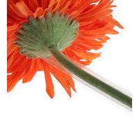 Tube de soutien Gerbera 15mm 200m rouleau - Tube rétractable transparent pour des tiges stables et une floraison durable