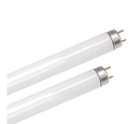 Tube de tueur de mouche de T8 10W, ampoules de rechange de tueur de mouche, pour le tueur électrique d'insecte de la mouche 20W/Bug Zapper/Fly Zapper/tueur de moustique-2 pack