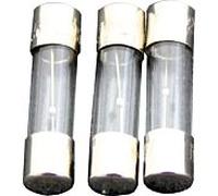 tube de verre fusible Wolf 2.5 A 2744814 pour BVG-Lambda 15-40