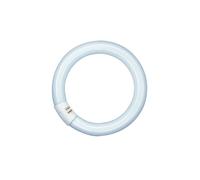 Tube fluo circulaire OSRAM Diamètre 26 mm - G10q - 32W - Blanc Froid