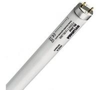 Sylvania Lighting – Lumière noire TL-buis