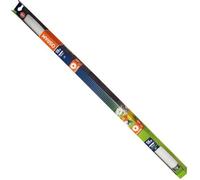 Tube fluocompact Fluora - 18 W - 60 cm - D: 26 mm
