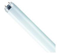 Tube fluocompacte 60 cm - 18 W - 880 lumière du jour