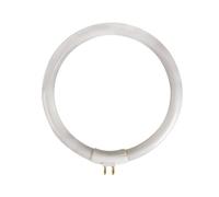 Tube fluorescent circulaire 12w/t4 pour vtlamp10