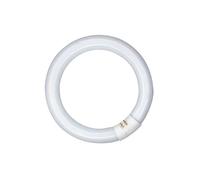 Tube Fluorescent Circulaire 20 W, G10q, Lumière Froide, ø210 Mm