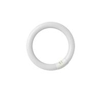 Tube fluorescent circulaire 22W T9 6400K GSC 2000589
