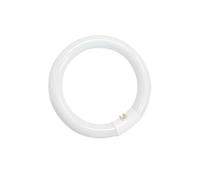 Tube fluorescent circulaire 32W T9 6400K GSC 2000590
