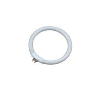 EDM Tube fluorescent circulaire eDM 00301 – T4, multicolore, 12 W