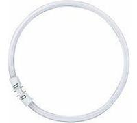 Tube fluorescent circulaire LUMILUX T5 FC 2GX13 55W G
