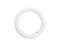 Tube fluorescent circulaire T9 40W G10q 6400K