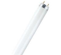 Tube fluorescent LUMILUX T8 L G13 36W 3000K Incolore G