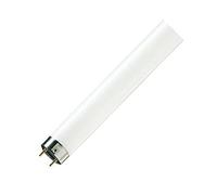 Lampe MASTER TL-D Super 80 58W 840 - - 632197