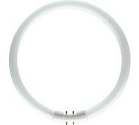 Tube fluorescent OSRAM 2GX13 40 W blanc chaud forme d'anneau 1 pc(s) Blanc Chaud G