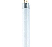 Tube fluorescent OSRAM HOMELIGHTING G13 15 W N/A forme de tube 1 pc(s)