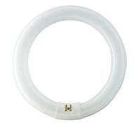 Philips TL-E 22W/865 1CT/12 Tube Fluorescent 84053700