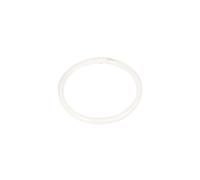 Tube fluorescent rond G10q 40W 840 MASTER TL-E 928027484070