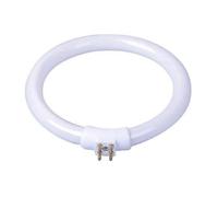 Tube fluorescent rond T4 12 W, tube de lampe fluorescente, tube de lampe rond T4 12 W, tube de lampe, tube de lampe loupe