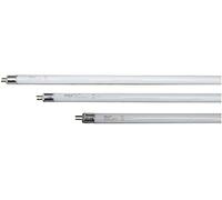 tube fluorescent T5 4W (lumière actinique) tue les insectes 13,5x1,6mm EDM 06024