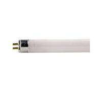 Tube fluorescent T5 blanc froid 840, 8 W, 30,5 cm