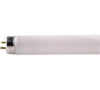 Tube fluorescent TL-D T8 18 W 590 mm 6500 K
