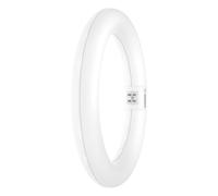 Osram Tube LED T9C EM 22 – 11W, 1320 lm, 4000K, blanc froid, anneau, alternative pour lampes T9