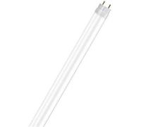 Tube LED - PROLIGHT - T8 - G13 - 60 cm - 9W - 945 Lumens - 6500 Kelvin - Blanc Froid