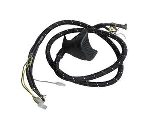 TUBE VAPEUR CORDON COMPLET pour PIECES ENTRETIEN DU LINGE PETIT ELECTROMENAGER ASTORIA CSI - 500595053