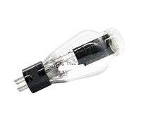 Tube WE300B WE 300B remplace 300BN 300BT E300B 300BZ Amplificateur à Tube Audio HiFi DIY(2PCS WE300B)