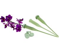 Tubes à fleurs 15cm, plastique, set de 100pcs pour DIY décoration de mariage & bouquets de fête