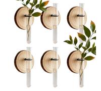 Tubes de Propagation pour,Support de système en Bois de 6 pièces | Tubes à essai Vase à,pour Jardinage, Balcon, terrasse, fenêtre, Femmes