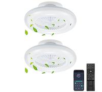 Tubiaz 2pièces Ventilateur de Plafond avec éclairage 80W LED Dimmable Lumière de Ventilateur avec Télécommande et APP, Mode été/hiver (Marche Avant et Arrière), 6 Vitesses, 3000K-6500K (Ø 55CM)