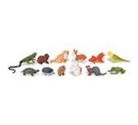 Tubo les animaux familiers Marron