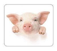 Tucano MPDEL-141 tapis de souris Blanc