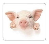 Tucano Natura Piggy - tapis de souris