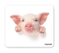 Tucano Piggy Blanc