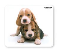 Tucano Puppies Blanc
