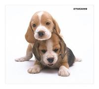 Tucano tapis de souris Chiots G