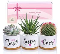 TuDou Cadeaux d'anniversaire pour sœur, cadeaux de Noël pour sœur, frère, amis de la part de sœur, frère, bestie, meilleure sœur jamais, pots de plantes grasses en céramique, cadeaux uniques livrés